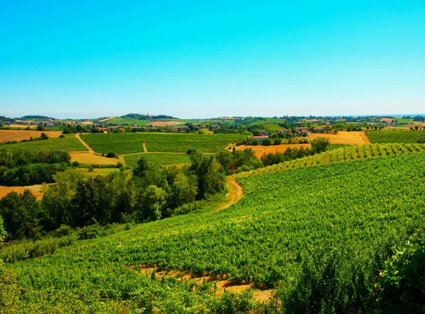 Vista da paisagem da vinha — Fotografia de Stock