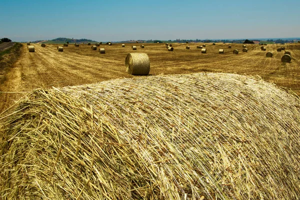 Landscape behind hay bale — Stock Photo, Image