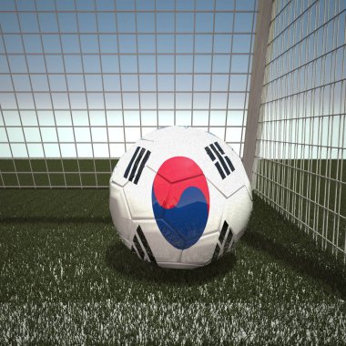 futbol ile Güney Kore bayrağı