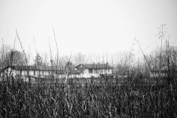 Feld mit Häusern im Hintergrund — Stockfoto