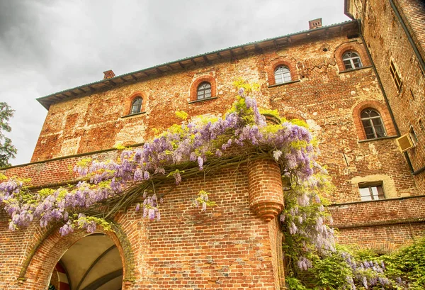 Renaissance Catle Met Bloemen Onder Grijze Lucht Horizontale Afbeelding — Stockfoto