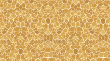 Sorunsuz döngü animasyon