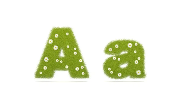 Natural green grass with camolines font. Letters A a — Stock Photo, Image