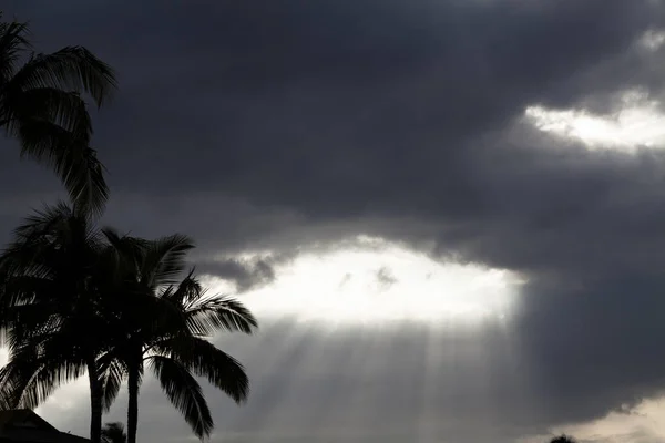 Световые лучи стекают из грозовых облаков с пальмами — стоковое фото