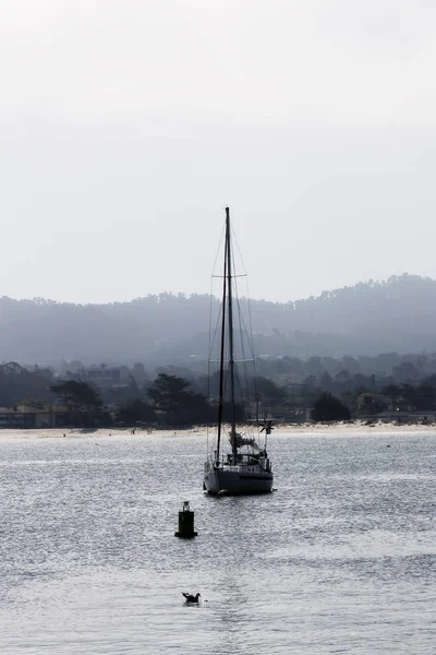 Jacht zacumowany do boja w Monterey Bay w Kalifornii — Zdjęcie stockowe