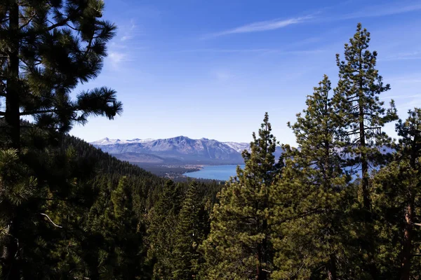 Lake Tahoe Viewed Through Pine Trees With Blue Sky — Stock Photo, Image