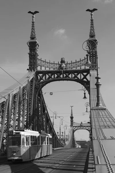 Die Freiheitsbrücke. — Stockfoto