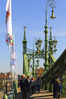 Özgürlük Köprüsü Budapeşte Macaristan