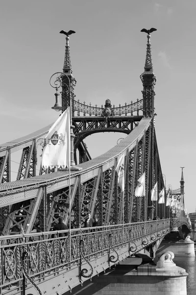 自由の橋. — ストック写真