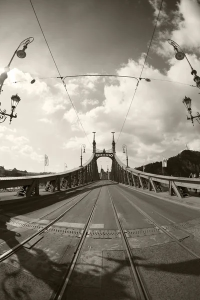 Liberty Bridge Budapeste Hungria — Fotografia de Stock