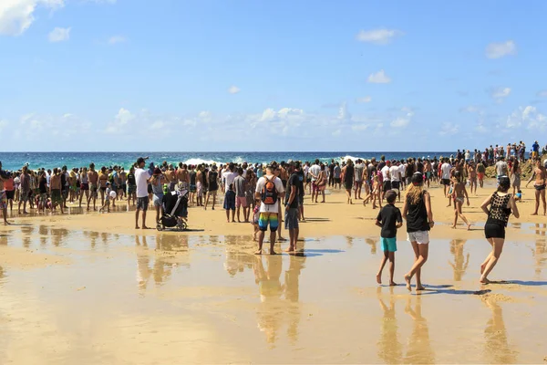 Spectators on the beach — Stock Photo, Image