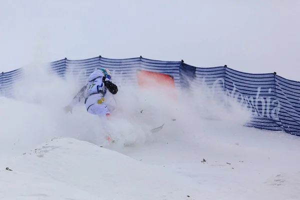 Coupe du monde FIS de ski acrobatique , — Photo