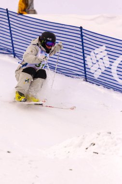 Freestyle FIS Dünya Kayak Kupası,