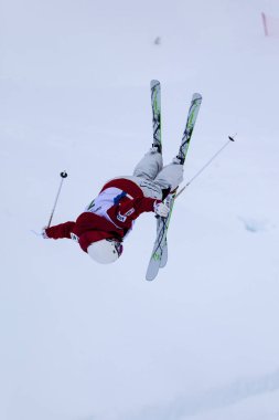 Freestyle FIS Dünya Kayak Kupası,