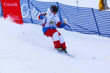 Freestyle FIS Dünya Kayak Kupası,