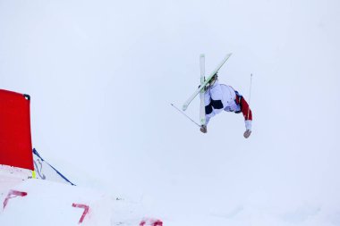 Freestyle FIS Dünya Kayak Kupası,