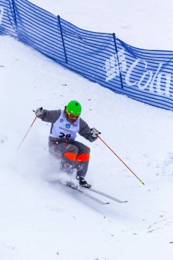 Freestyle FIS Dünya Kayak Kupası,
