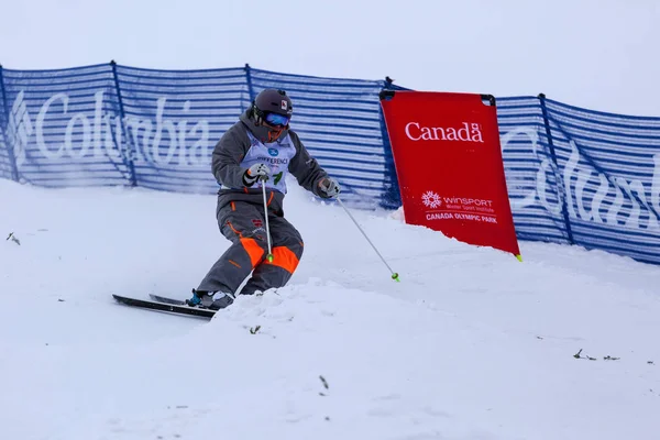 FIS Freestyle Copa do Mundo de Esqui , — Fotografia de Stock