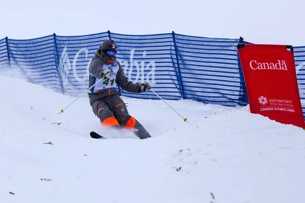 FIS Freestyle Ski World Cup, — Stock Photo, Image