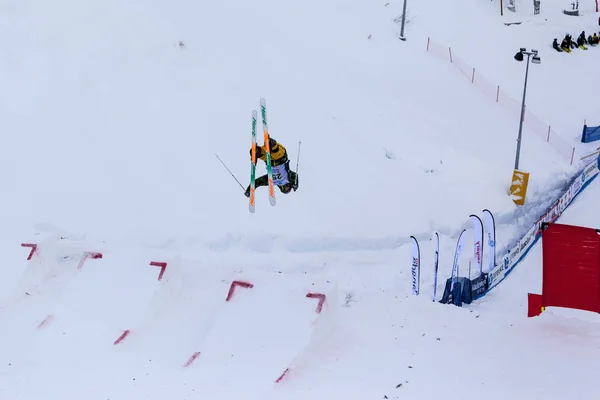 FIS Freestyle Ski World Cup, — Stok Foto