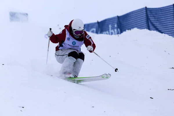 Coupe du monde FIS de ski acrobatique , — Photo