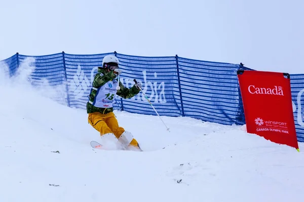 FIS Freestyle Ski World Cup, — Stock Photo, Image