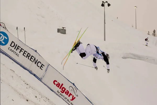 FIS Freestyle Ski World Cup,