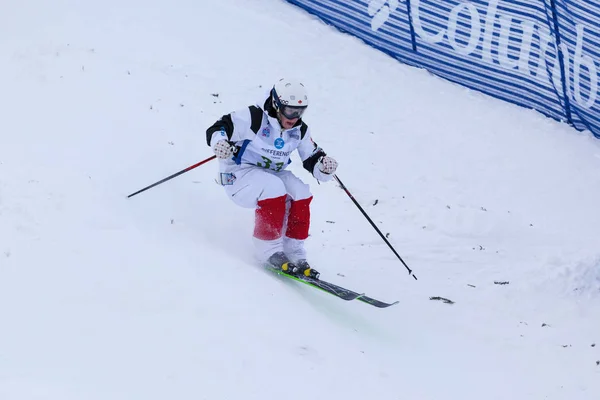 Freestyle van de FIS Ski World Cup, — Stockfoto
