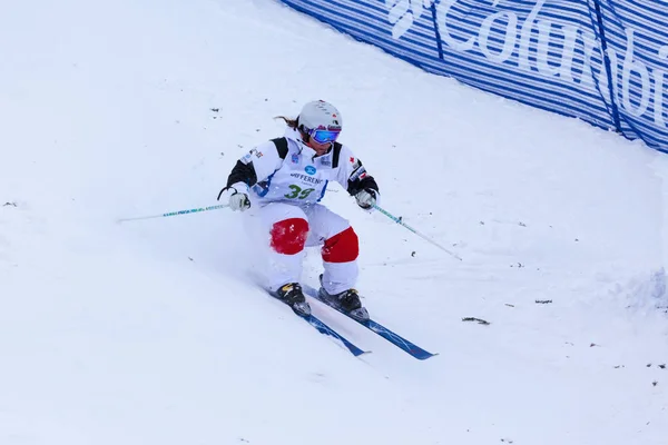 Fis フリー スタイル スキー ・ ワールド カップ, — ストック写真