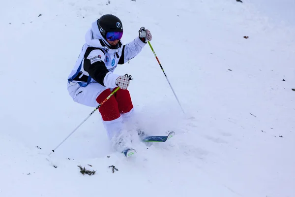 Coupe du monde FIS de ski acrobatique , — Photo