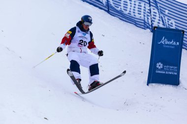 Freestyle FIS Dünya Kayak Kupası,