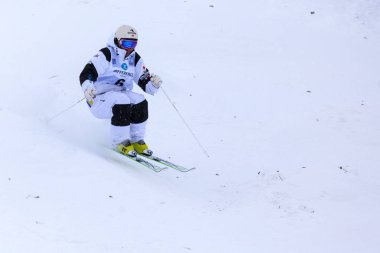 Freestyle FIS Dünya Kayak Kupası,