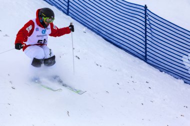 Freestyle FIS Dünya Kayak Kupası,