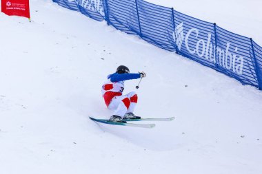 Freestyle FIS Dünya Kayak Kupası,