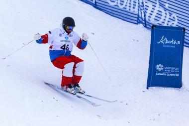 Freestyle FIS Dünya Kayak Kupası,