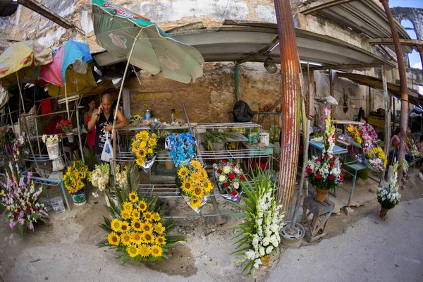 哈瓦那 2018年2月11日 卖主在哈瓦那旧城街头向当地居民和游客出售花卉 — 图库照片