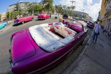 Havana, Küba - 02 16 2018: Klasik klasik Amerikan arabaları tamamen restore edildi - bu araçlar turizm için taşımacılık ve kentin en uygun rengini sağlıyor.