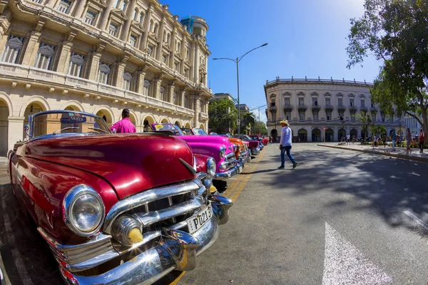 Havana Cuba 2018 Mașini Clasice Americane Epocă Stare Complet Restaurată — Fotografie, imagine de stoc