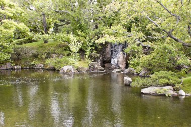 Yazın doğanın güzel manzarası.
