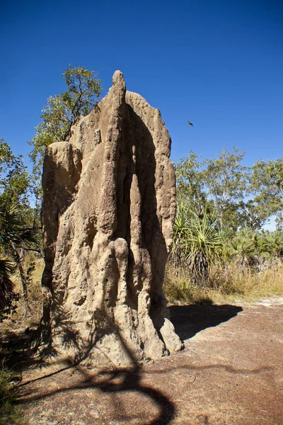 Prachtig Uitzicht Natuur — Stockfoto