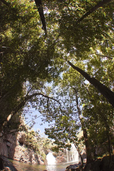 Hermosa Vista Del Bosque — Foto de Stock