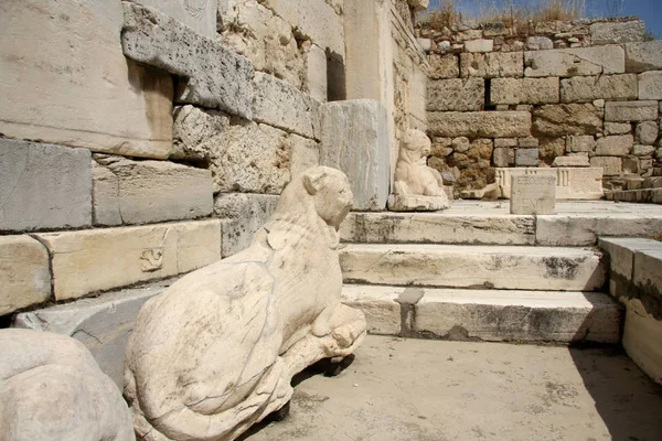 Türkiye Nin Efes Kentinin Antik Kalıntıları — Stok fotoğraf