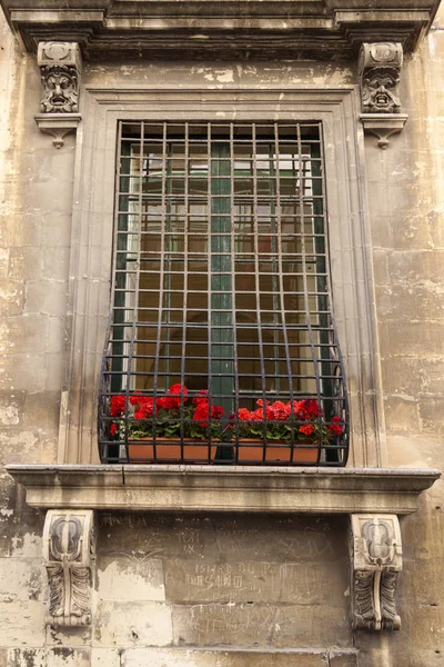 Entrance Window House — Fotografia de Stock
