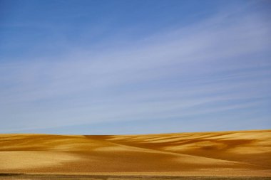 Arka planda kum tepeciği olan güzel bir manzara.