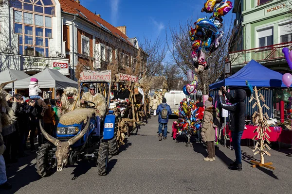 Hungary Mohacs Feb 2020 Participants Buso Walking Festival Ending Day — стокове фото