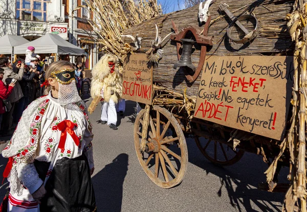 Hungary Mohacs Feb 2020 Participants Buso Walking Festival Ending Day — Stock fotografie