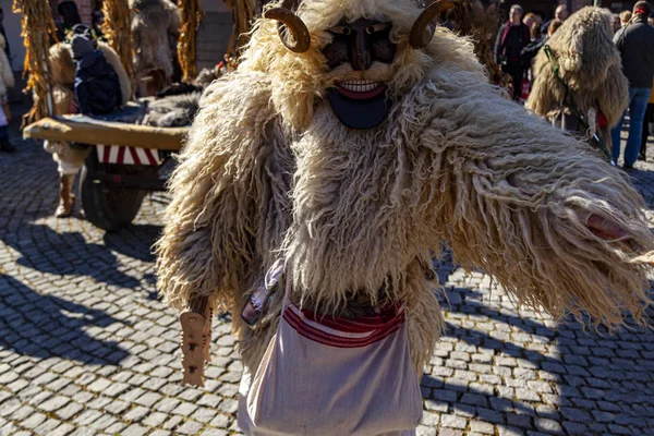 Hungary Mohacs Feb 2020 Participants Buso Walking Festival Ending Day — Stok fotoğraf