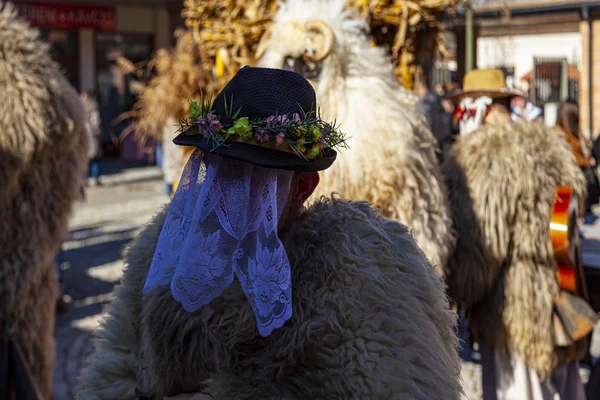 Ungheria Mohacs Feb 2020 Partecipanti Festival Piedi Buso Termina Giorno — Foto Stock