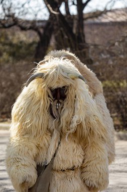 Hungary Mohacs Feb 23, 2020: Participants at the Buso walking festival-ending the day before Ash Wednesday. People wearing traditional masks include folk music, masquerading, parades and dancing.