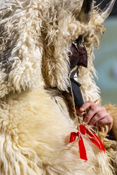 Hungary Mohacs Feb 2020 Participants Buso Walking Festival Ending Day — Stockfoto